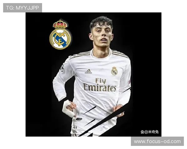 本泽马 vs 凯恩：进攻组织能力与战术角色差异