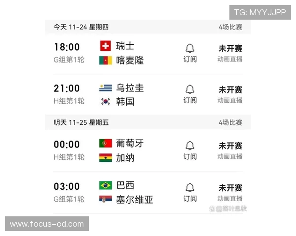 世界杯E组形势预测大全