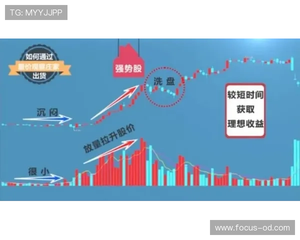 洛杉矶FC遭遇密集赛程考验,主力轮换策略成胜负关键 洛杉矶FC遭遇密集赛程考验,主力轮换策略成胜负关键